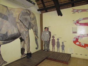 IMG_2440
